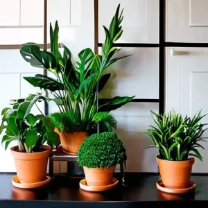 Растения дома: какие выбрать и как красиво расставить