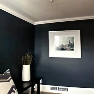 Как красить стены темным цветом: как сделать ровно без «пятен»