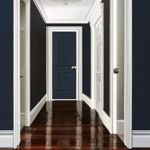 Двери и плинтус: как сочетать по цвету и высоте