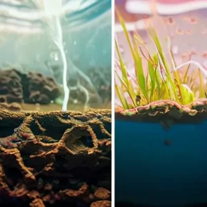 Железо в воде: как определить и чем убрать без лишних затрат