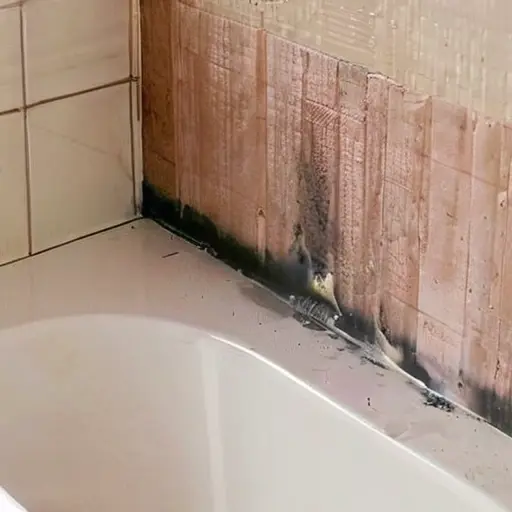 Плесень в ванной: причины и как убрать надолго Плесень в ванной: причины и как убрать надолго